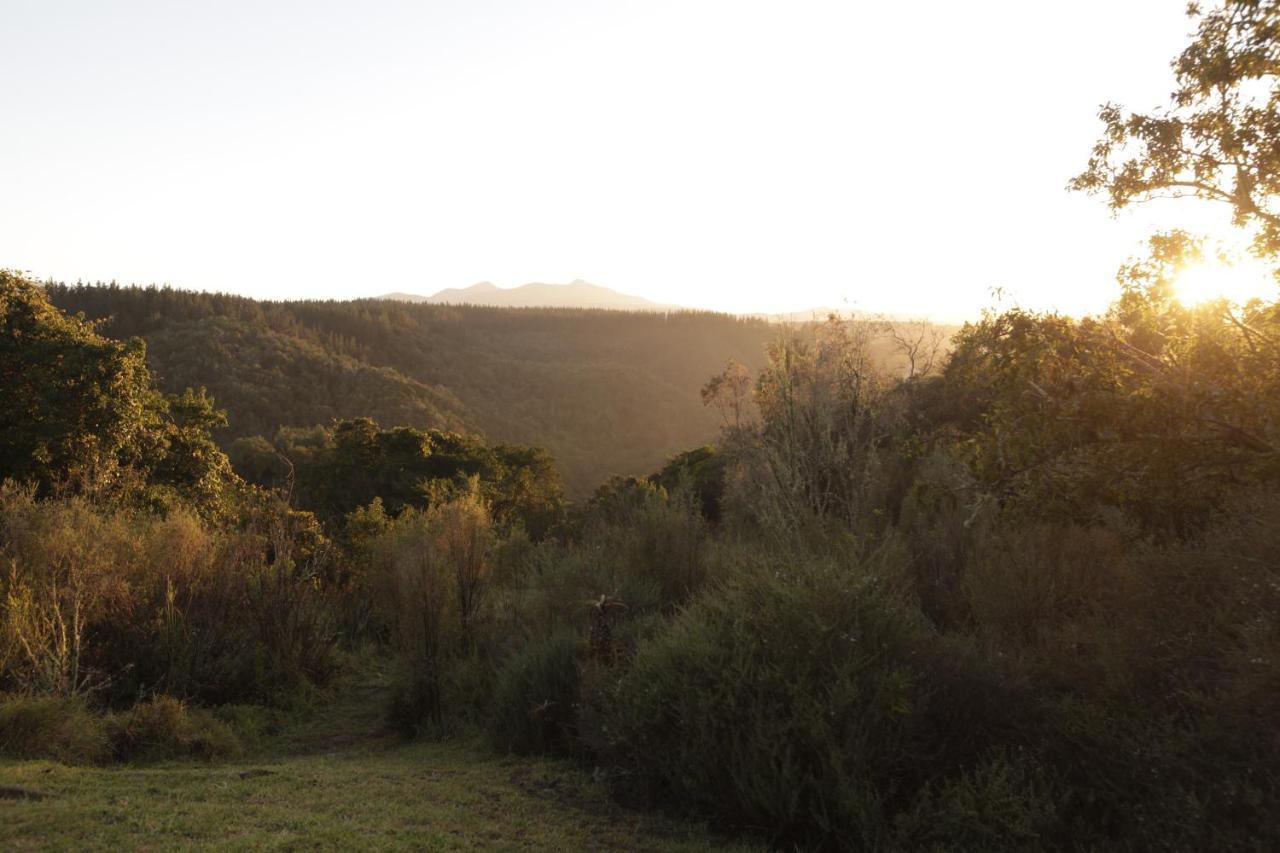 Forest Hills Knysna Zewnętrze zdjęcie