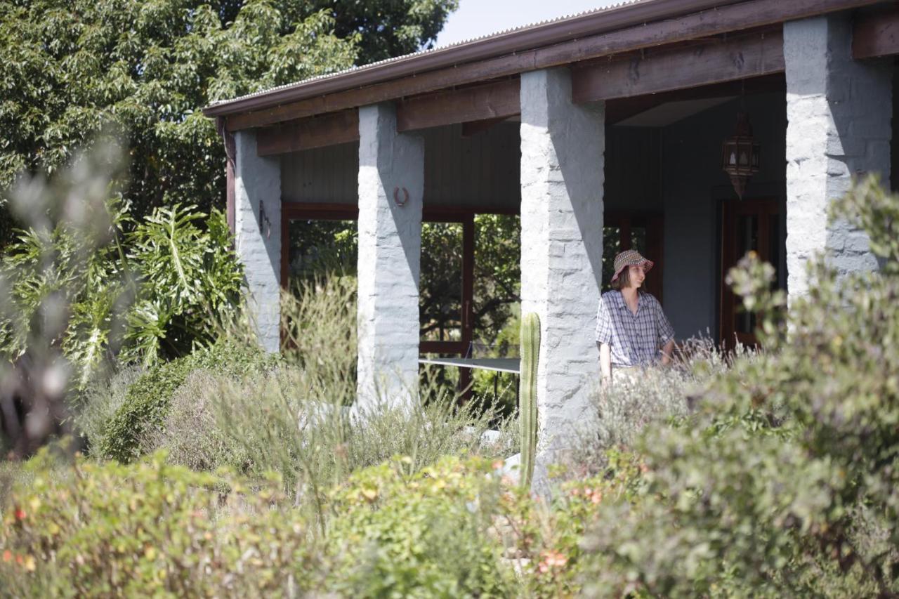 Forest Hills Knysna Zewnętrze zdjęcie