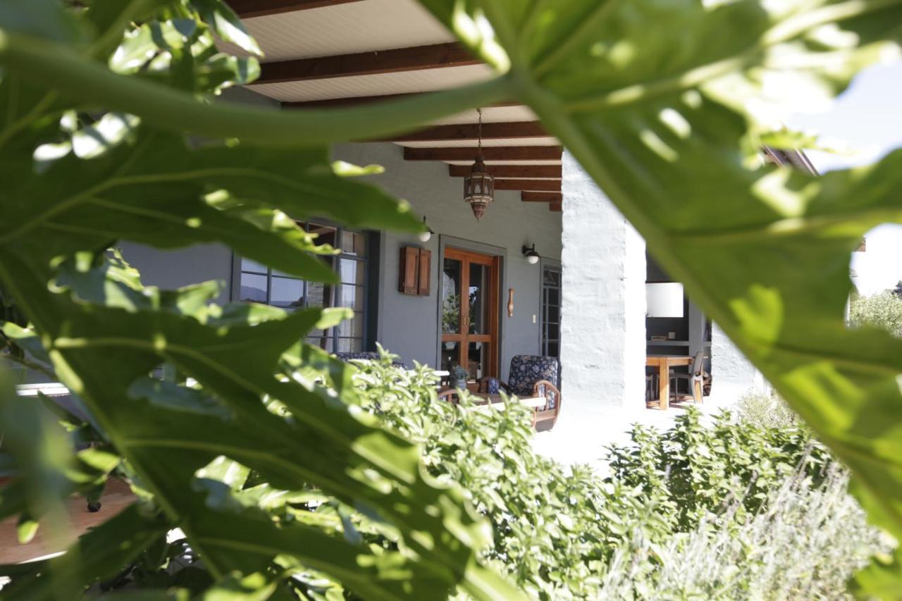 Forest Hills Knysna Zewnętrze zdjęcie