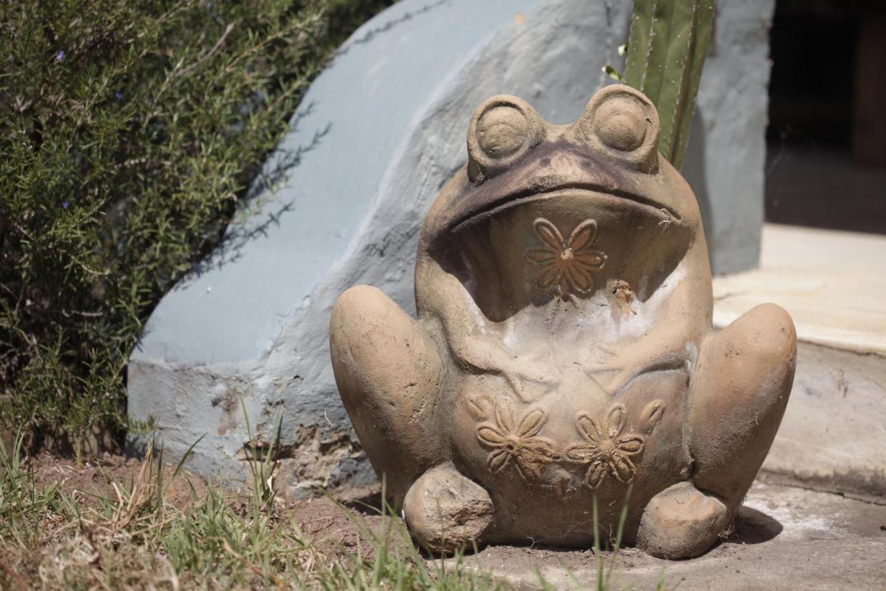 Forest Hills Knysna Zewnętrze zdjęcie