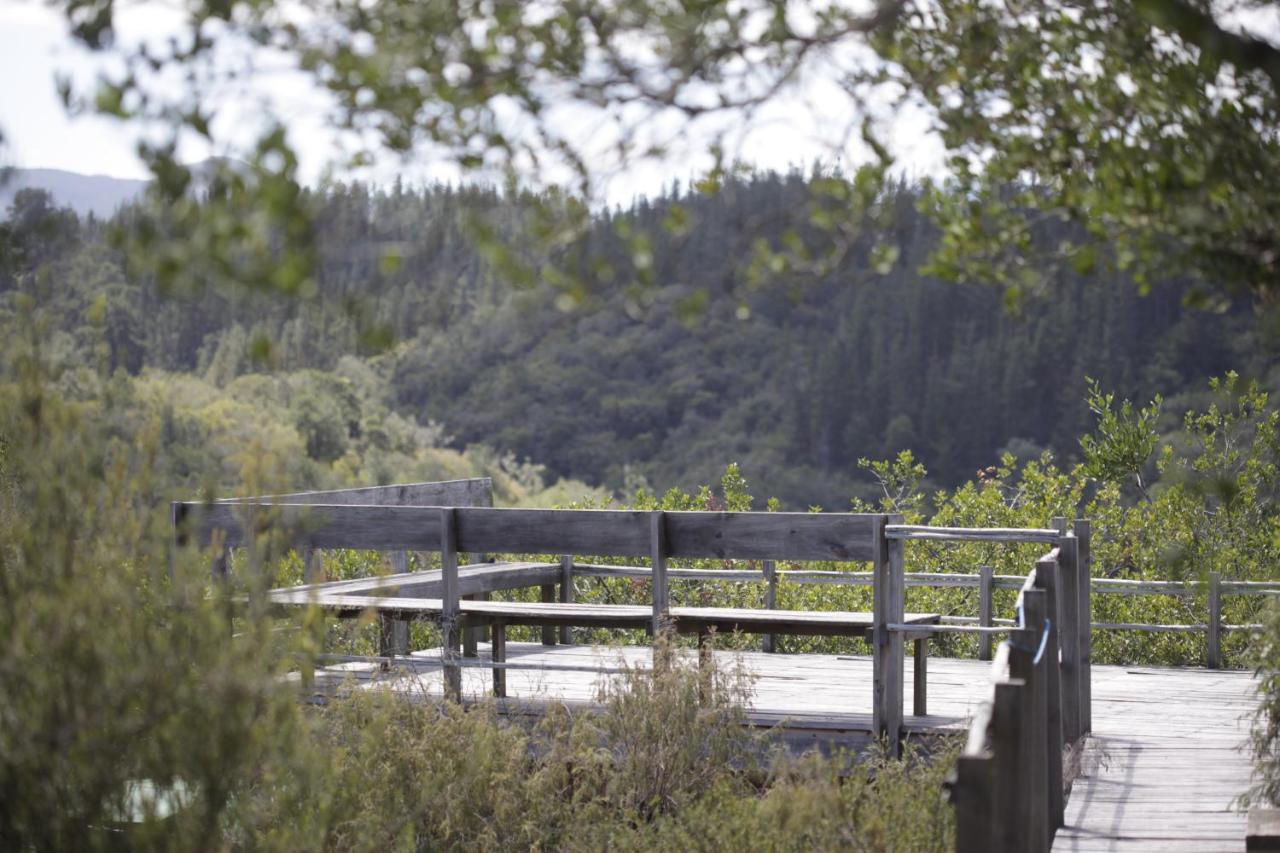 Forest Hills Knysna Zewnętrze zdjęcie