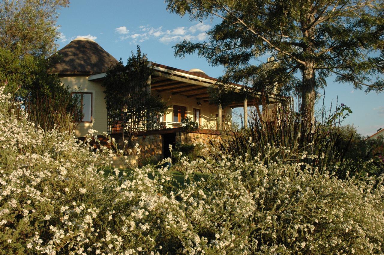 Forest Hills Knysna Zewnętrze zdjęcie