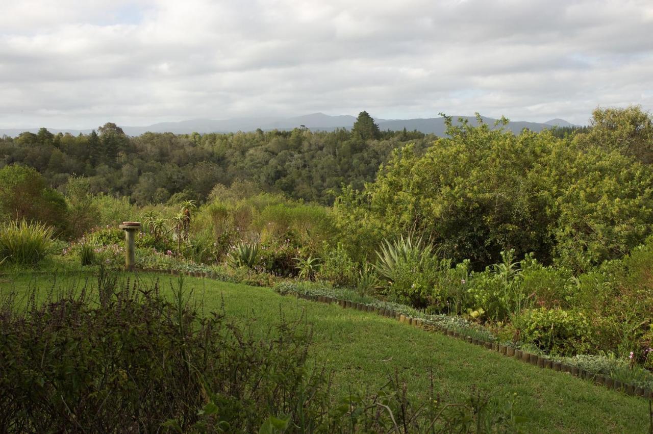 Forest Hills Knysna Zewnętrze zdjęcie